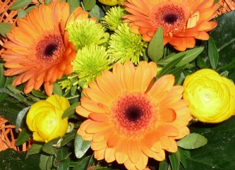 Parfüme mit Blumenduft © Parfum-Duft-Blog.de / Parfüme die nach Blumen duften