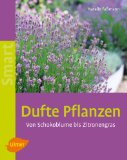 Buch „Dufte Pflanzen“ von Natalie Faßmann - bei amazon entdeckt